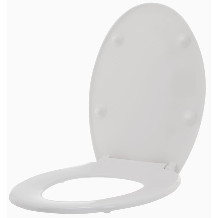 Maykke Clova Elongated Hard Toilet Seat Wayfair